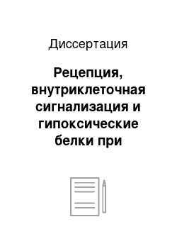 Диссертация: Рецепция, внутриклеточная сигнализация и гипоксические белки при высотной легочной артериальной гипертензии