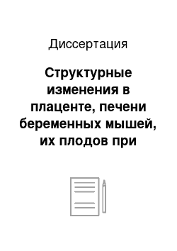 Диссертация: Структурные изменения в плаценте, печени беременных мышей, их плодов при бцж-гранулематозе и лечении изониазидом