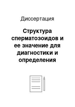 Диссертация: Структура сперматозоидов и ее значение для диагностики и определения давности происхождения спермы