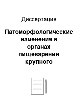 Диссертация: Патоморфологические изменения в органах пищеварения крупного рогатого скота и овец при парамфистомозе