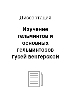 Диссертация: Изучение гельминтов и основных гельминтозов гусей венгерской белой породы в процессе их акклиматизации в Башкортостане