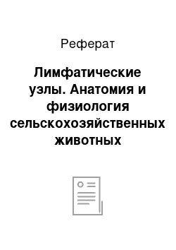 Реферат: Лимфатические узлы. Анатомия и физиология сельскохозяйственных животных