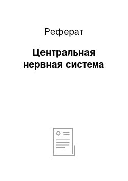 Реферат: Центральная нервная система