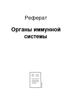 Реферат: Органы иммунной системы