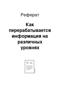 Реферат: Как перерабатывается информация на различных уровнях анализатора?