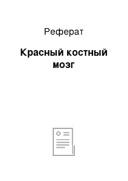 Реферат: Красный костный мозг