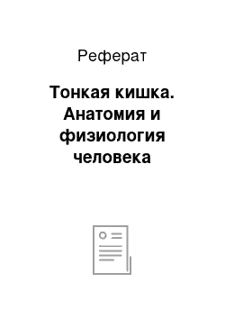 Реферат: Тонкая кишка. Анатомия и физиология человека