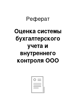 Реферат: Оценка системы бухгалтерского учета и внутреннего контроля ООО Предприятия «Салон Кармен»