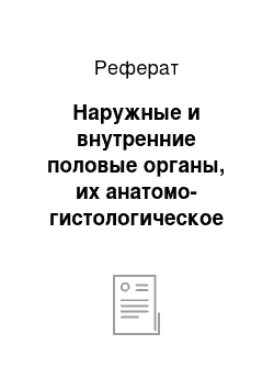 Реферат: Наружные и внутренние половые органы, их анатомо-гистологическое строение и видовые особенности у коров, овец, свиней, кобыл и самок животных других видов