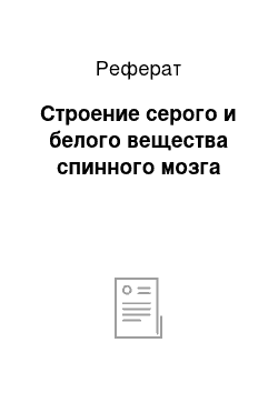 Реферат: Строение серого и белого вещества спинного мозга