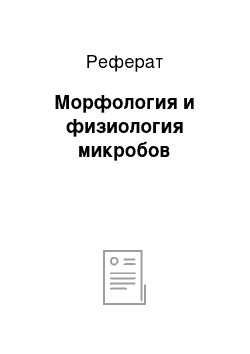 Реферат: Морфология и физиология микробов