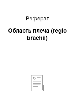 Реферат: Область плеча (regio brachii)