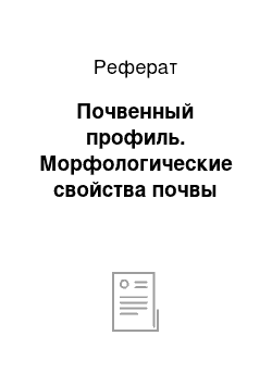 Реферат: Почвенный профиль. Морфологические свойства почвы