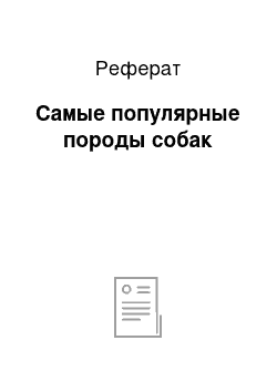 Реферат: Самые популярные породы собак