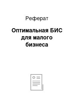 Реферат: Оптимальная БИС для малого бизнеса