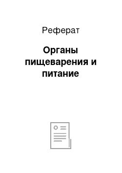 Реферат: Органы пищеварения и питание