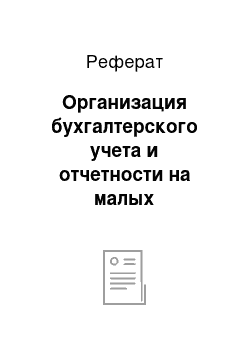 Реферат: Организация бухгалтерского учета и отчетности на малых предприятиях