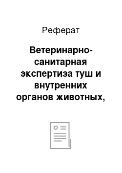 Реферат: Ветеринарно-санитарная экспертиза туш и внутренних органов животных, подвергшихся воздействию отравляющих веществ