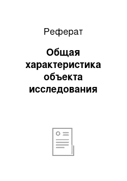 Реферат: Общая характеристика объекта исследования