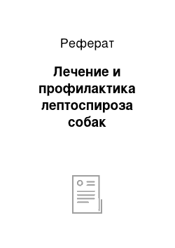 Реферат: Лечение и профилактика лептоспироза собак