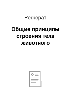 Реферат: Общие принципы строения тела животного