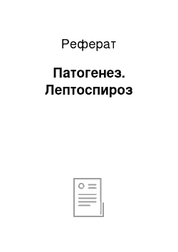 Реферат: Патогенез. Лептоспироз