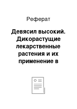 Реферат: Девясил высокий. Дикорастущие лекарственные растения и их применение в медицине