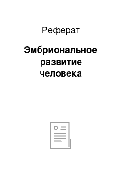 Реферат: Эмбриональное развитие человека