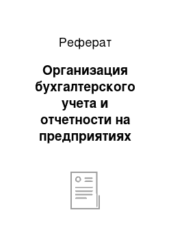 Реферат: Организация бухгалтерского учета и отчетности на предприятиях малого бизнеса