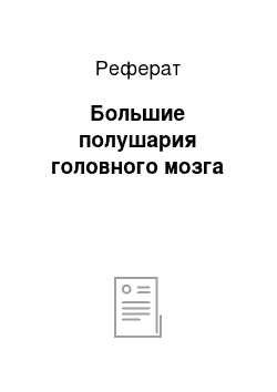 Реферат: Большие полушария головного мозга