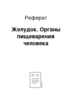 Реферат: Желудок. Органы пищеварения человека