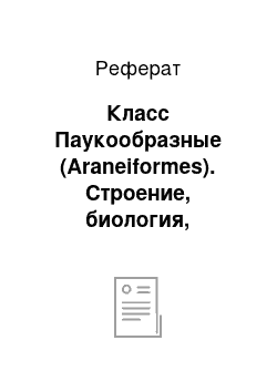 Реферат: Класс Паукообразные (Araneiformes). Строение, биология, адаптации к наземному образу жизни. Основные отряды