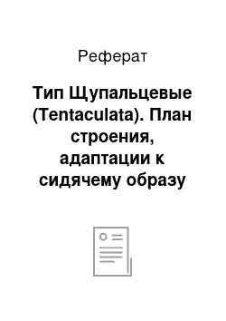 Реферат: Тип Щупальцевые (Tentaculata). План строения, адаптации к сидячему образу жизни. Основные таксономические группы