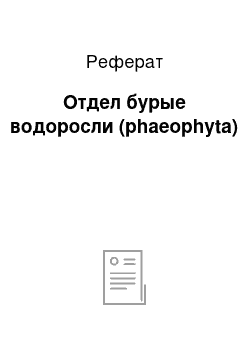 Реферат: Отдел бурые водоросли (phaeophyta)