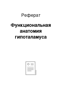 Реферат: Функциональная анатомия гипоталамуса