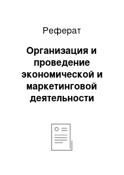 Реферат: Организация и проведение экономической и маркетинговой деятельности