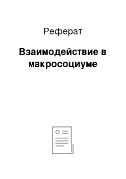 Реферат: Взаимодействие в макросоциуме