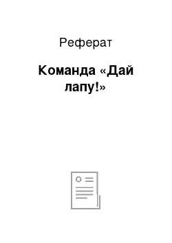 Реферат: Команда «Дай лапу!»