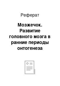 Реферат: Мозжечок. Развитие головного мозга в ранние периоды онтогенеза