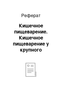 Реферат: Кишечное пищеварение. Кишечное пищеварение у крупного рогатого скота