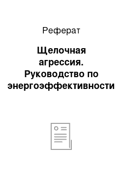 Реферат: Щелочная агрессия. Руководство по энергоэффективности