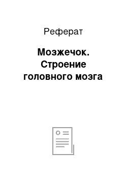 Реферат: Мозжечок. Строение головного мозга