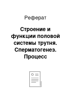 Реферат: Строение и функции половой системы трутня. Сперматогенез. Процесс спаривания