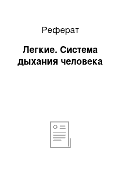 Реферат: Легкие. Система дыхания человека