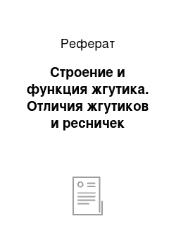 Реферат: Строение и функция жгутика. Отличия жгутиков и ресничек