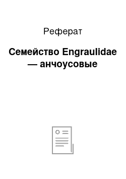 Реферат: Семейство Engraulidae — анчоусовые