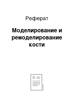 Реферат: Моделирование и ремоделирование кости