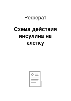 Реферат: Схема действия инсулина на клетку