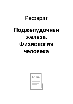 Реферат: Поджелудочная железа. Физиология человека