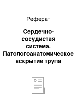 Реферат: Сердечно-сосудистая система. Патологоанатомическое вскрытие трупа крупного рогатого скота